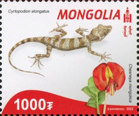 Flora and Fauna of the Red Book of Mongolia
