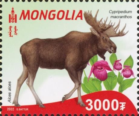 Flora and Fauna of the Red Book of Mongolia