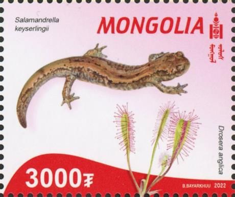 Flora and Fauna of the Red Book of Mongolia