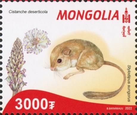 Flora and Fauna of the Red Book of Mongolia