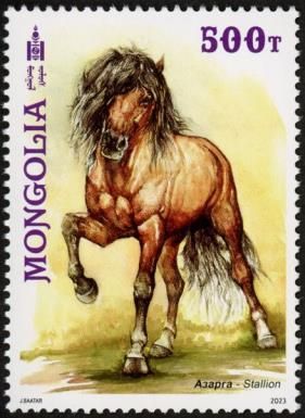 Stallion