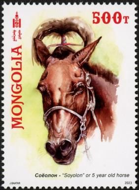 5 Year-Old Horse