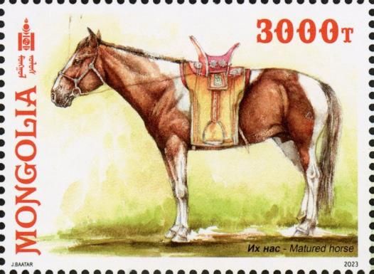 Mature Horse