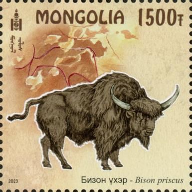 Steppe Bison (Bison priscus)