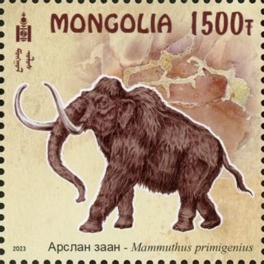 Woolly Mammoth (Mammuthus primigenius)