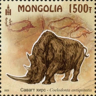 Woolly Rhinoceros (Coelodonta antiquitatis)