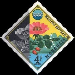 Wild Roses