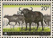 African Buffaloes overprinted "Royaume du Burundi"