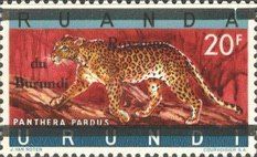 Leopard (Panthera pardus) overprinted "Royaume du Burundi"