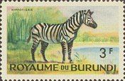 Burchell's Zebra (Equus burchelli)