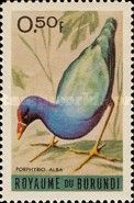 African Swamphen (Porphyrio alba)
