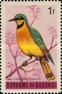 Little Bee-eater (Melittophagus pusillus)