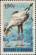 Secretarybird (Sagittarius serpentarius)