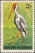 Yellow-billed Stork (Ibis ibis)