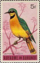 Little Bee-eater (Melittophagus pusillus)