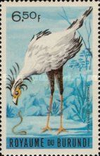 Secretarybird (Sagittarius serpentarius)