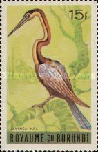 African Darter (Anhinga rufa)
