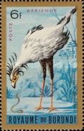 Secretarybird (Sagittarius serpentarius)