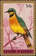 Little Bee-eater (Melittophagus pusillus)