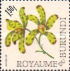 Ansellia africana