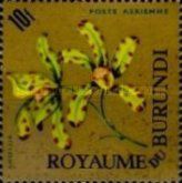 Ansellia africana