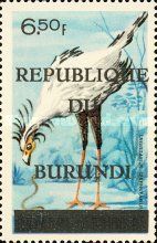 Secretarybird (Sagittarius serpentarius)