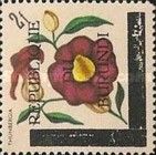 Thunbergia - Overprinted