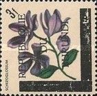 Schizoglossum - Overprinted