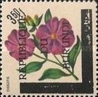Dissotis - Overprinted