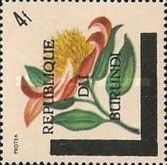 Protea - Overprinted