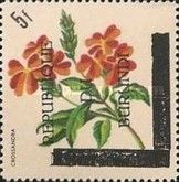 Crossandra - Overprinted