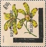 Ansellia africana - Overprinted