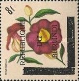 Thunbergia - Overprinted