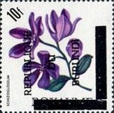 Schizoglossum - Overprinted
