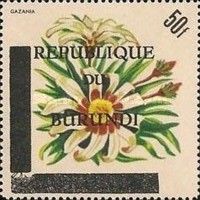 Gazania - Overprinted