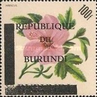 Hibiscus - Overprinted