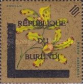 Ansellia africana - Overprinted