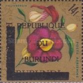 Thunbergia - Overprinted
