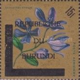 Schizoglossum - Overprinted