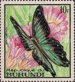 Broad Green-banded Swallowtail (Papilio bromius)