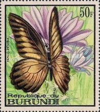 Volta Swallowtail (Papilio zenobia)