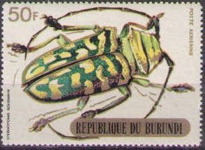 Longhorn Beetle (Sternotomis bohemani)