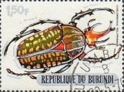 Giant African Fruit Beetle (Chelorrhina polyphemus)