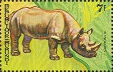 Rhinoceros