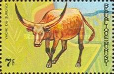 Burundi cow