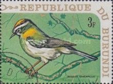 Common Firecrest (Regulus ignicapillus)
