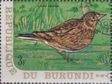 Eurasian Skylark (Alauda arvensis)