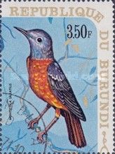 Rufous-tailed Rock-Thrush (Monticola saxatilis)