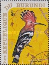 Eurasian Hoopoe (Upupa epops)