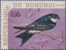 Common House-Martin (Delichon urbica)